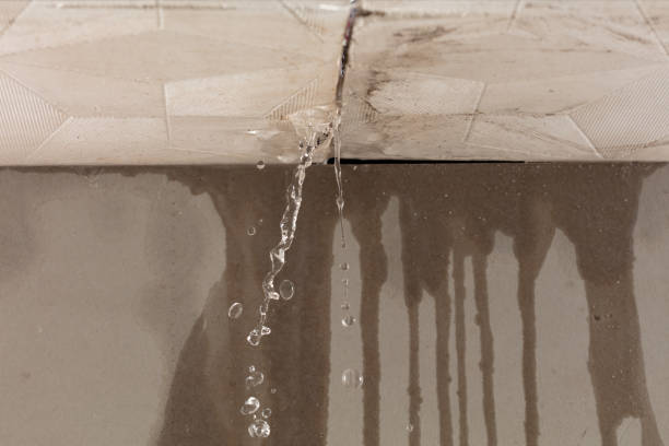 Professional Water Damage Restoration technician working in Pleasureville, KY